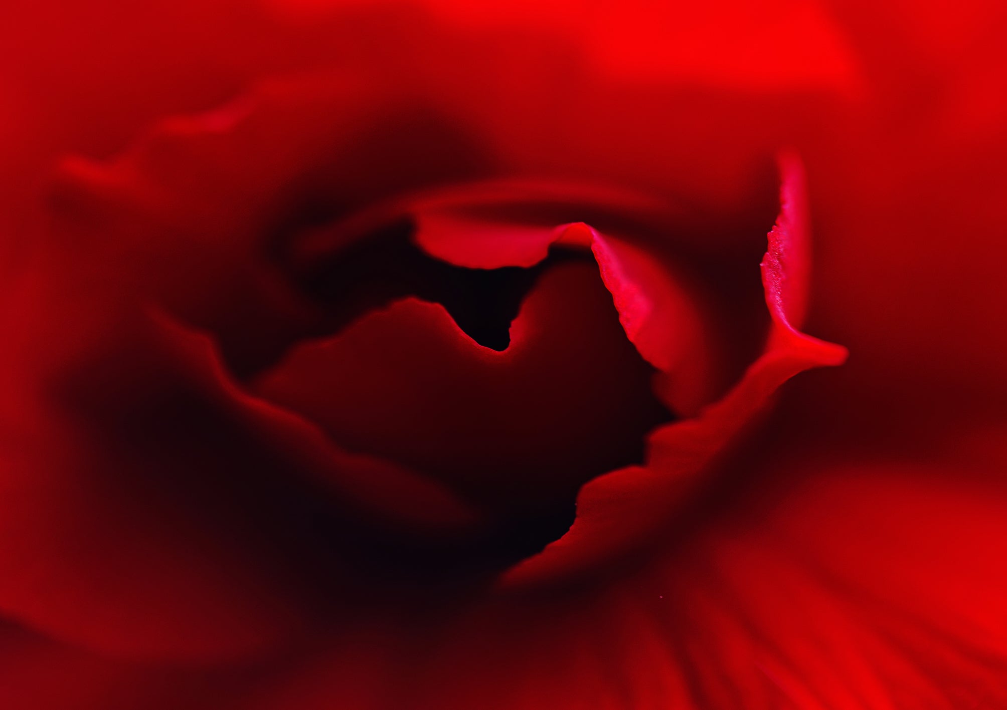 Sant Jordi