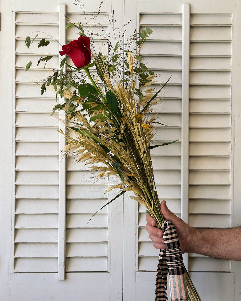 Rosa de Sant Jordi – Feix