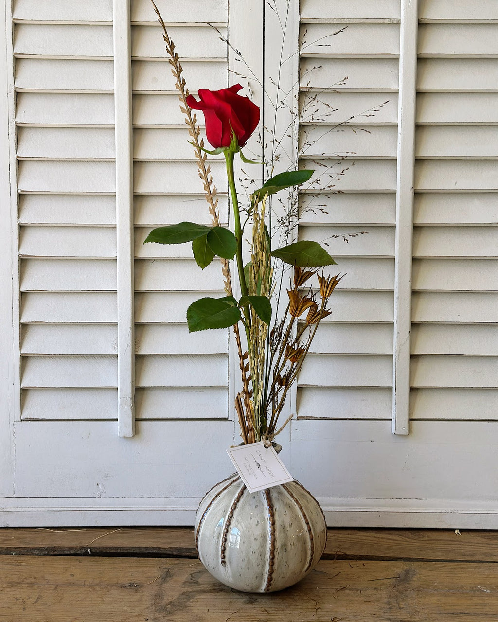 Rosa de Sant Jordi -  Niu del Drac -